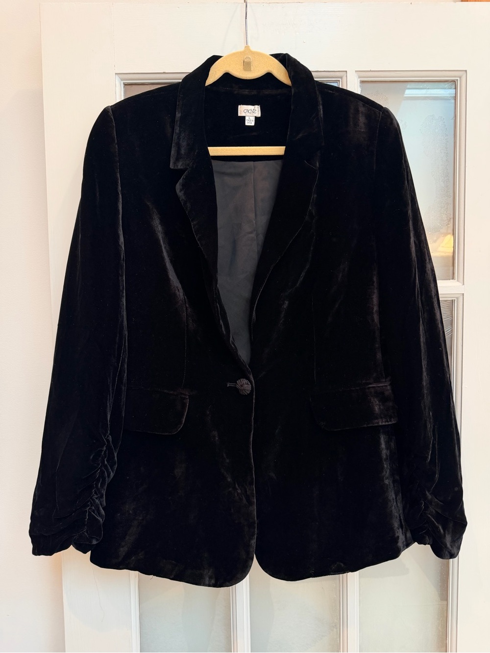 Vintage Cache Y2K Velvet Whimsigoth Black Silk Chic Career Blazer Jacket Size L